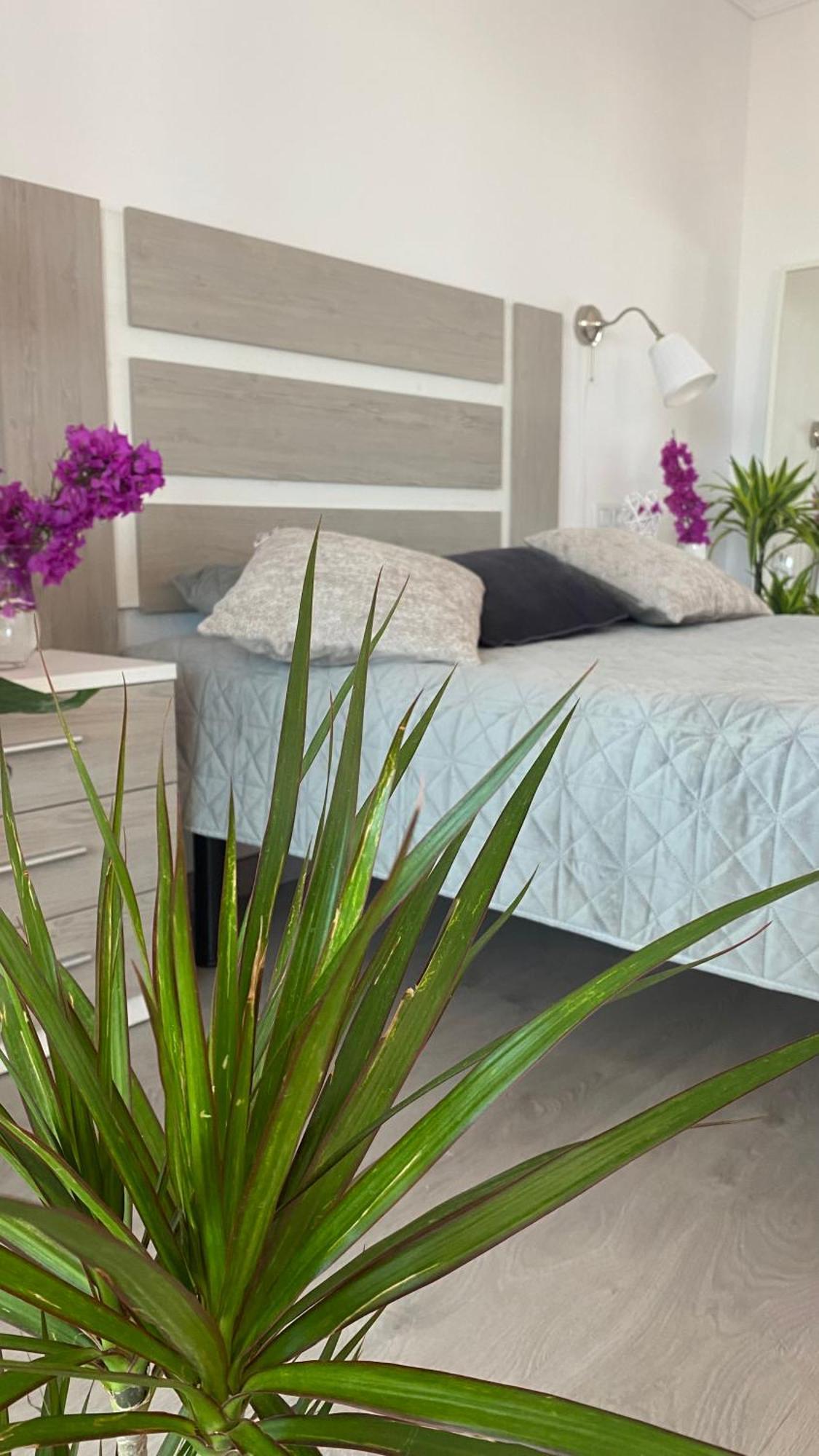 Apartment Anna Benidorm Esterno foto